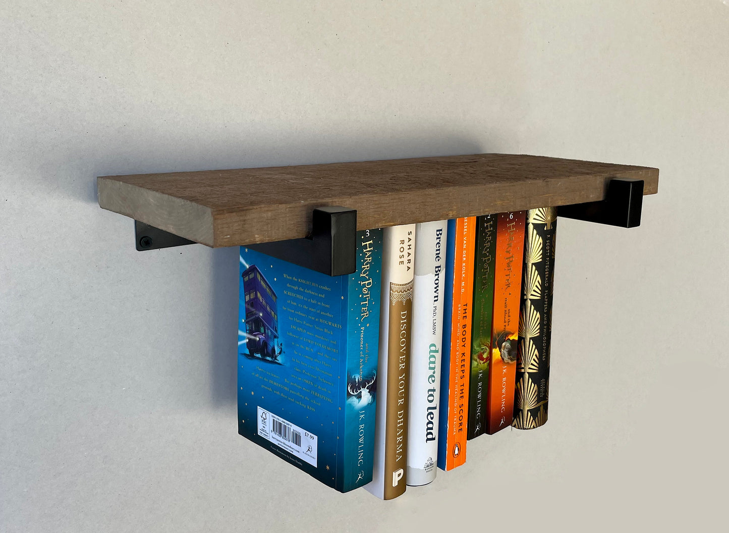 Dual Mini Rustic Hanging Bookshelves