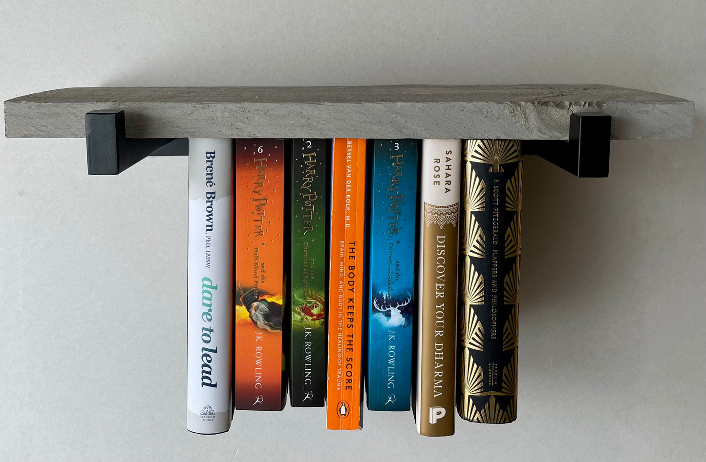 Dual Mini Rustic Hanging Bookshelves