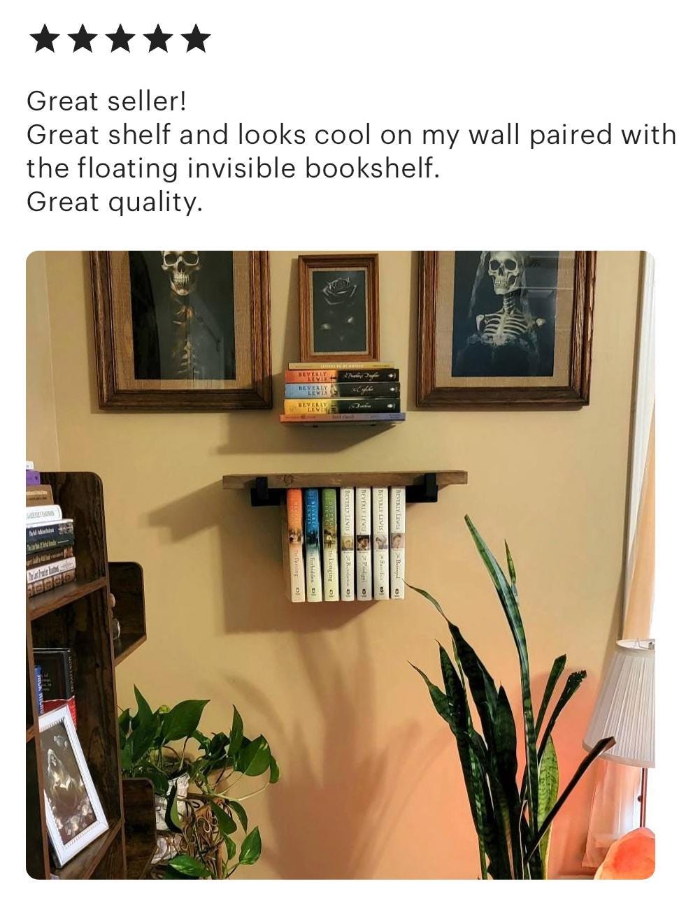Mini Rustic Hanging Bookshelf