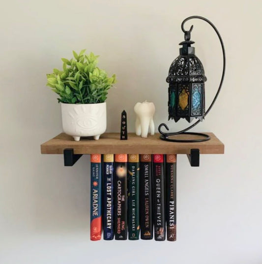 Mini Rustic Hanging Bookshelf