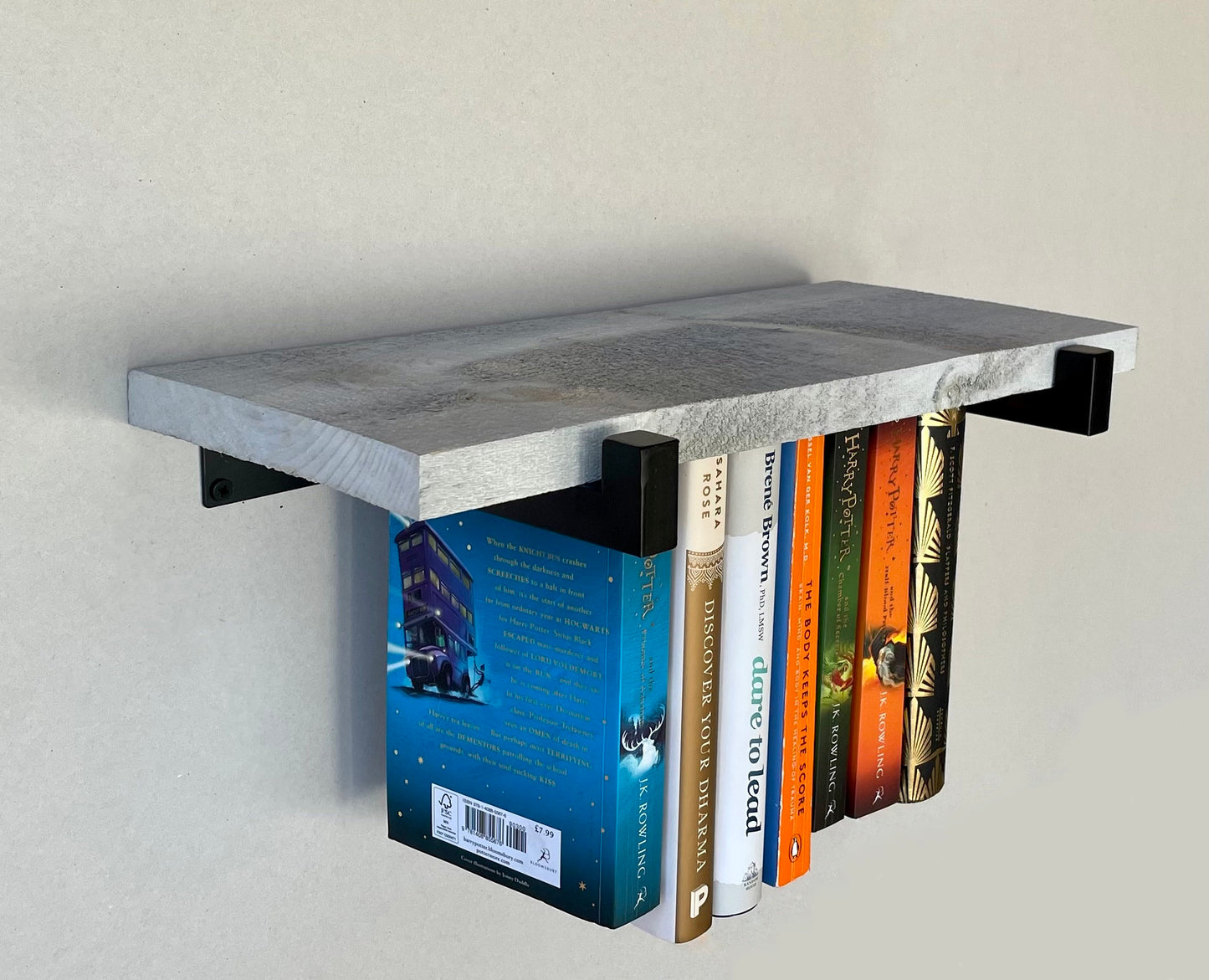 Dual Mini Rustic Hanging Bookshelves