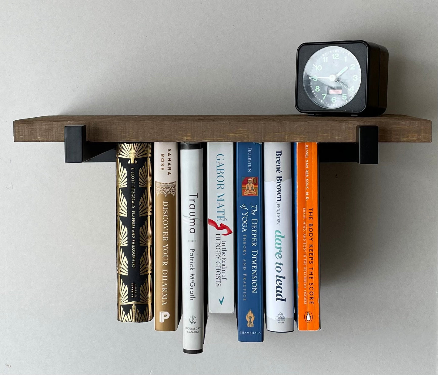 Dual Mini Rustic Hanging Bookshelves