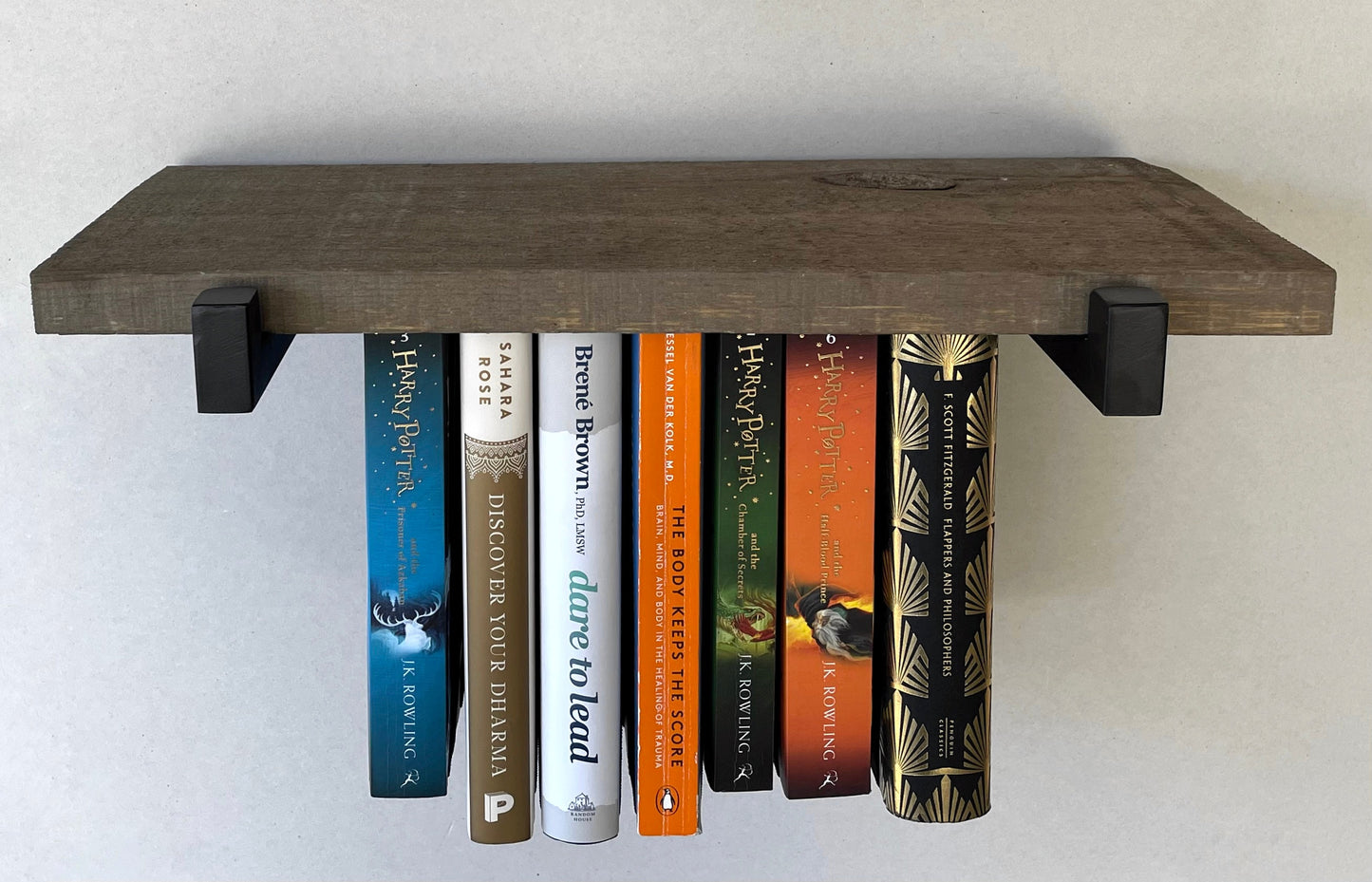 Dual Mini Rustic Hanging Bookshelves