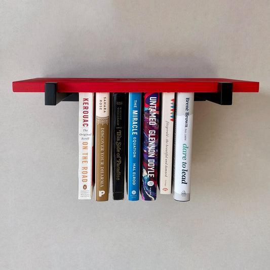 Mini Vibrant Hanging Bookshelf